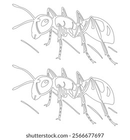 Simple outline drawing of a ant, perfect for coloring, crafting, and educational use