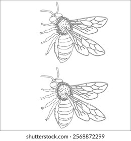 Simple outline drawing of a bee, perfect for coloring, moose, and educational use