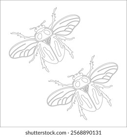 Simple outline drawing of beetle, perfect for coloring, crafting, and educational use