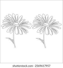 Simple outline drawing of a daisy  , perfect for coloring, crafting, and educational use