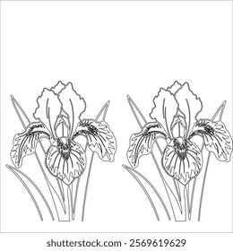 Simple outline drawing of a iris, perfect for coloring, crafting, and educational use