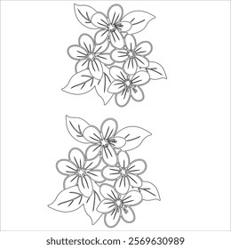 Simple outline drawing of a jasmine, perfect for coloring, crafting, and educational use