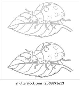 Simple outline drawing of ladybug , perfect for coloring, crafting, and educational use