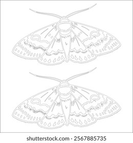 Simple outline drawing of a moth , perfect for coloring, crafting, and educational use
