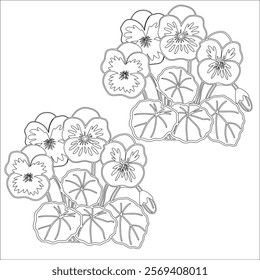 Simple outline drawing of a nasturtium, perfect for coloring, crafting, and educational use