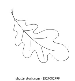 Simple outline drawing of a oak leaf.