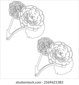 Simple outline drawing of a ranunculus, perfect for coloring, crafting, and educational use