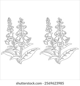 Simple outline drawing of a snapdragon, perfect for coloring, crafting, and educational use