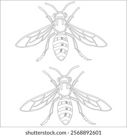 Simple outline drawing of a wasp, perfect for coloring, crafting, and educational use