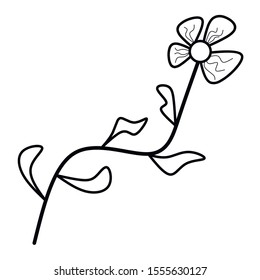 simple outline flower on the branche