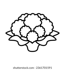 Simple outline of head of fresh cauliflower vector icon. Black line drawing or cartoon illustration of ripe vegetable isolated on white background. Healthy food, harvest, agriculture concept