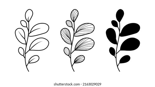 Simple Outline Herb, Floral Icon Set Isolated On White Background. Vector Hand Drawn Sketch, Logo Design Element. Line Art Collection. Elegant Botanical Eucalyptus Branch With Leaves. 