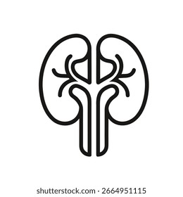 Ein einfaches Umrisssymbol einer menschlichen Niere, deutlich auf weißem Hintergrund dargestellt, perfekt für medizinische oder pädagogische Kontexte.