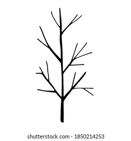 simple outline illustration. Abstract tree in line art drawing style.