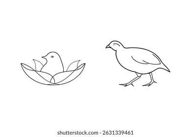 Simple outline illustration of a bird in a nest and a quail on a white background