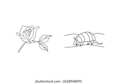 Simples ilustração com um besouro em uma rosa e um tatu andando ao longo