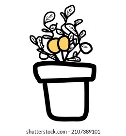 Simple outline lemon citrus plant in flowerpot. Vector doodle sketch drawing. Botanical illustration isolated on white. Line art icon. Exotic tropical tree fruit.