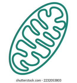 Simple outline modern turquoise schematic Mitochondria icon. Minimal vector pictogram with thin lines isolated on transparent background