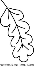 Simple Outline of an Oak Leaf