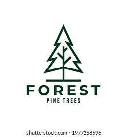 simple outline pine tree logo vector