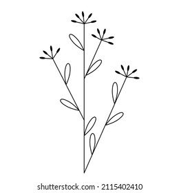 Simple Outline Plant Illustration Black On Stock Vector (Royalty Free ...