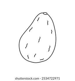 Simple outline of a ripe avocado drawn on white background with no color highlights in detail