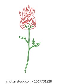 Simple outline rose vector