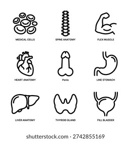 Simple Outline Style Human Anatomy Organ and Body Part Illustration
