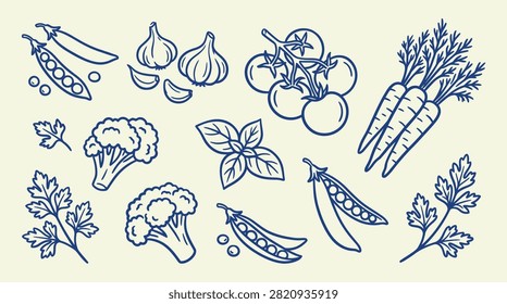 Simple outline vegetable set with pea pods garlic tomatoes carrots broccoli basil leaves and parsley for kitchens