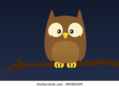 Simple owl on a tree branch at night