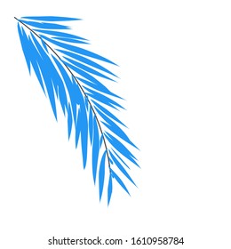 Simple Palm Leaves Art Blue White Bacground