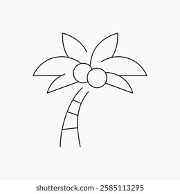 Simple palm tree line drawing with coconuts. Minimalist palm tree illustration. Black and white palm tree sketch. Tropical palm tree art. Vector isolated on white.