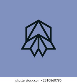 simple paper plane hexagon fly to top direction lines logo