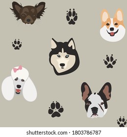 Einfaches Muster mit Hundeköpfen und Pfotendrucken auf Grau. Vektorhintergrund im flachen Stil. Cartoon Set chihuahua, Corgi, Husky, Poodle, Franzose. Unterschiedliche lustige Charaktere. Verwenden eines Musters oder mehrerer Elemente