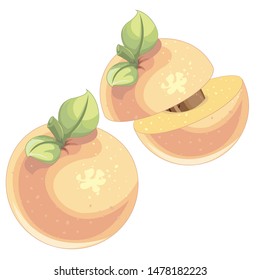 Simple peach - vector illustration 