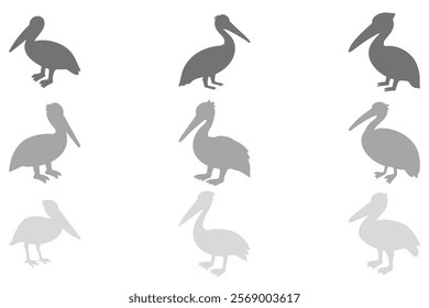 Simple Pelican Bird Illustration Design Set