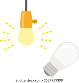 Simple pendant light and bulb