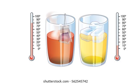 Simple physics experiment about the temperature difference between the hot tea glass and the cold juice glass measured with two equal thermometers. Archive with several editable layers.