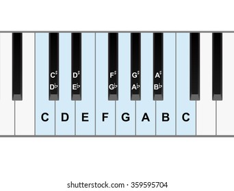 Simple piano keyboard showing full octave of notes vector