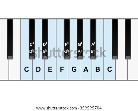 Simple piano keyboard showing full octave of notes vector