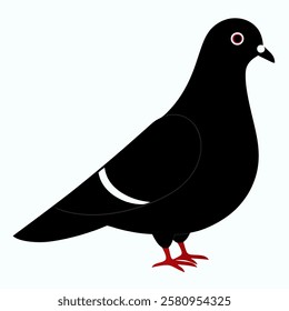 Simple pigeon vector on white background.