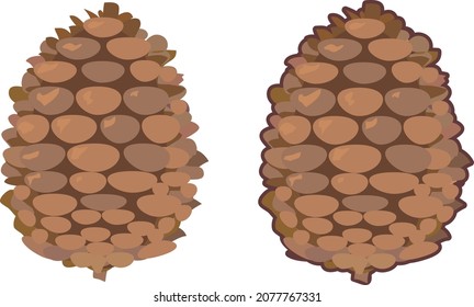 Simple Pinecone vector EPS image