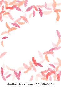 Simple pink flamingo feathers vector background. Wildlife nature isolated plumage. Detailed majestic feather on white design. Decorative confetti of festive plumelet.