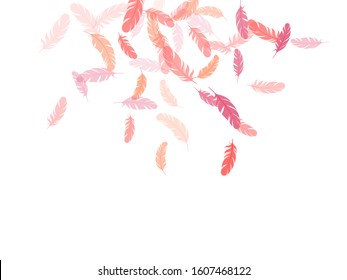 Simple pink flamingo feathers vector background. Bird wing plumage boho line art. Quill plumelet silhouettes illustration. Falling feather elements soft vector design.