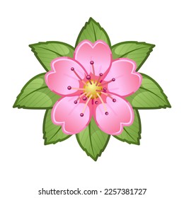 Simple pink flower Large size of emoji spring flower
