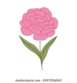 Simple pink peony flower. Flat vector illustration isolated on white background.