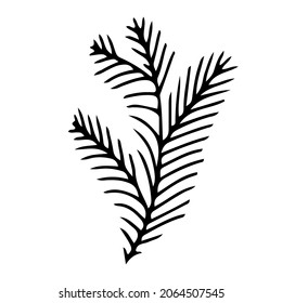 Simple plant decoration in doodle style. Simple decor for a festive Christmas and New Years. Vector illustration isolated on white background.