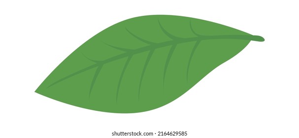 Einfaches Pflanzenblatt. Vektorgrafik
