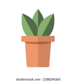 plantas simples con hojas verdes en la olla.