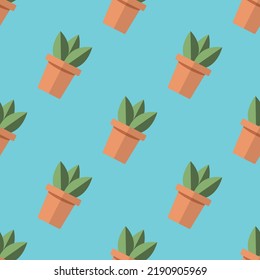 simple plants with green leaves in the pot.